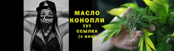 индика Бугульма