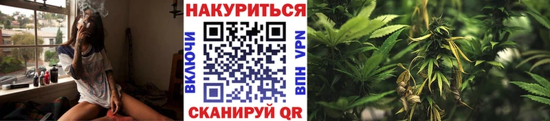 Конопля планчик  Воскресенск 
